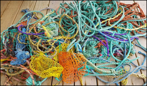 Beach Treasure
